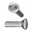 Tamper Proof Screws
